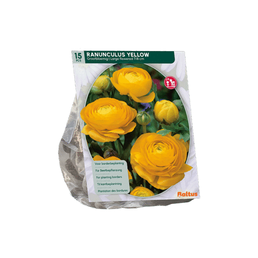 Reuze Ranonkel Geel