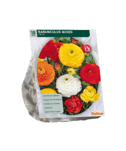 Reuze Ranonkel Mix