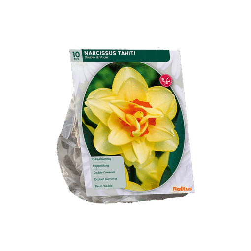 Narcis Dubbel Tahiti