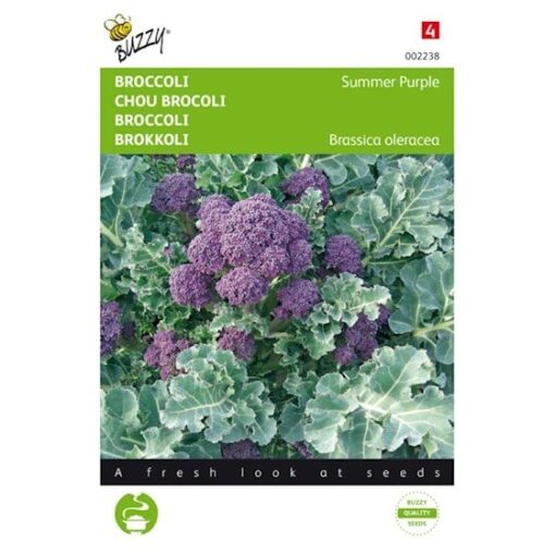 Buzzy Broccoli Summer Purple Groentezaden