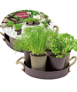 Herb festival tray taupe